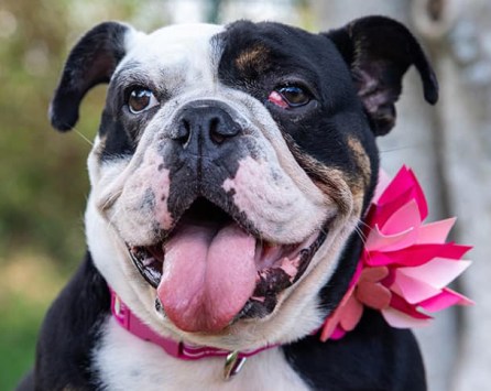 53695290_10156958938193407_3892973750257188864_n-2